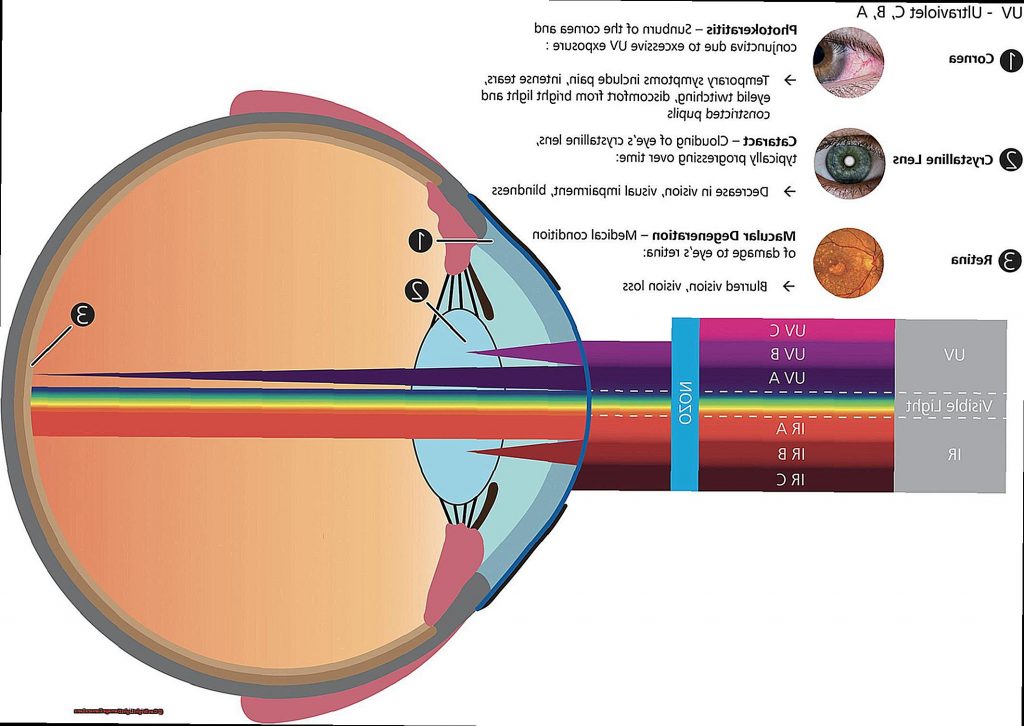 Can Bright Light Damage Camera Lens? The Welding Guru
